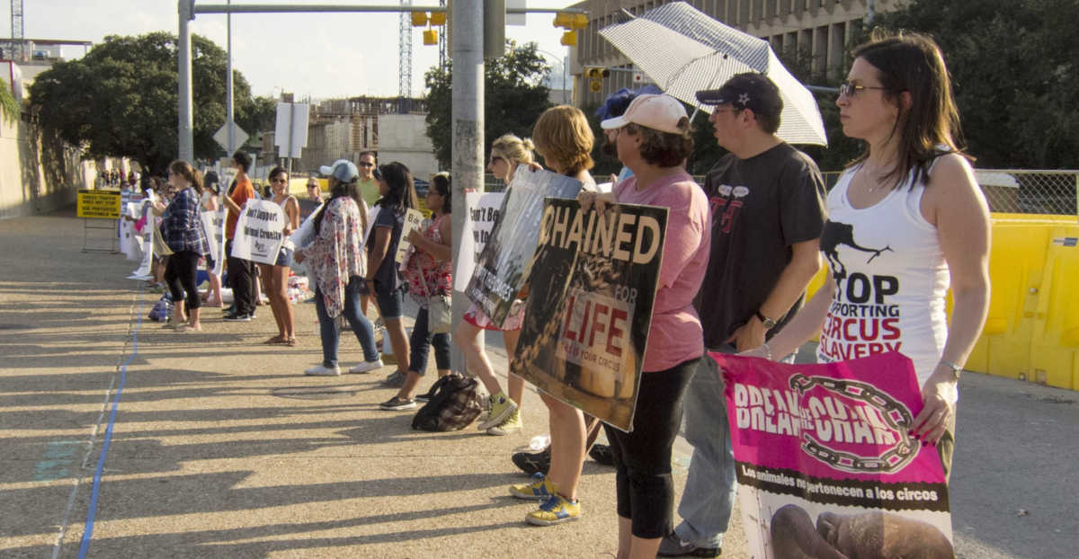 Action for Animals Austin