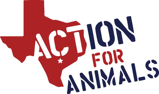 Action for Animals Logo